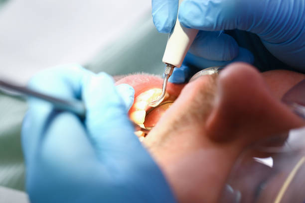 Best Weekend Emergency Dentist in Knollwood, IL