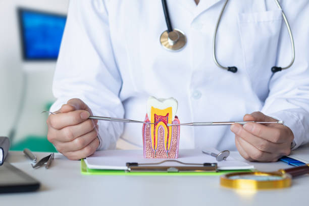 Best Urgent Dental Care for Toothache in Knollwood, IL